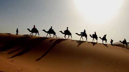 kamels-Mesr-desert