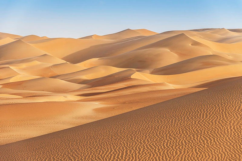Desert Zardgah