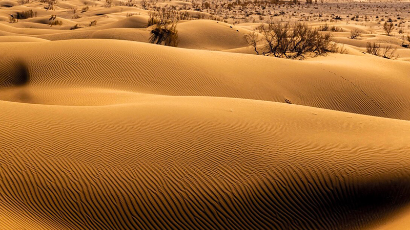 Sights of Tabas desert