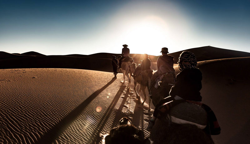 Camel ride in the Golden Sand Desert