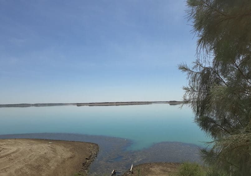 Hamoon lake