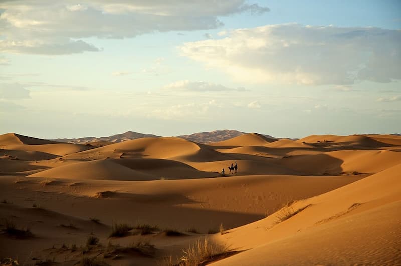 Desert tour of different regions of Iran